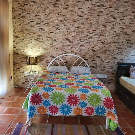 Quinta Da Luz Holiday home *